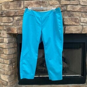 Investments II deep teal capri pants. Stretchy  size 16W